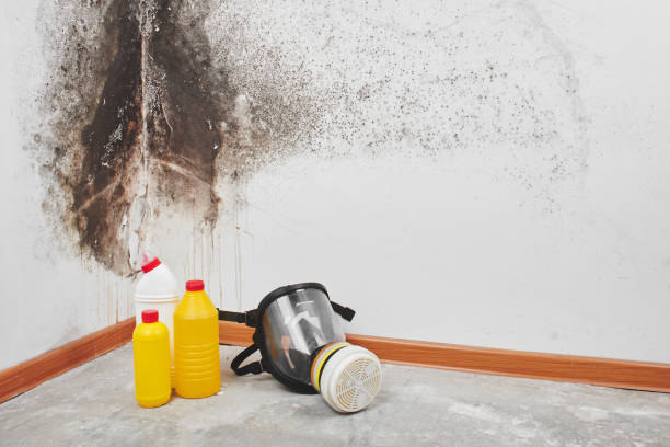 Mold Remediation for Rental Properties in Newcastle, WY